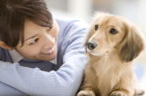 動物取扱業営業,行政書士